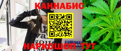 индика Пугачёв
